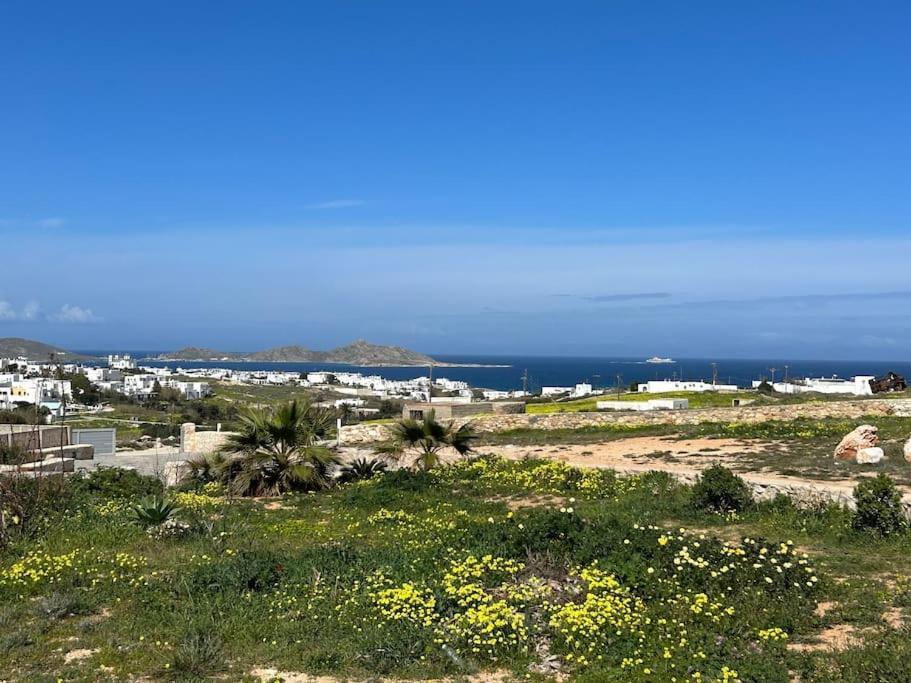 Aretousa Residence In Naoussa, Paros Buitenkant foto