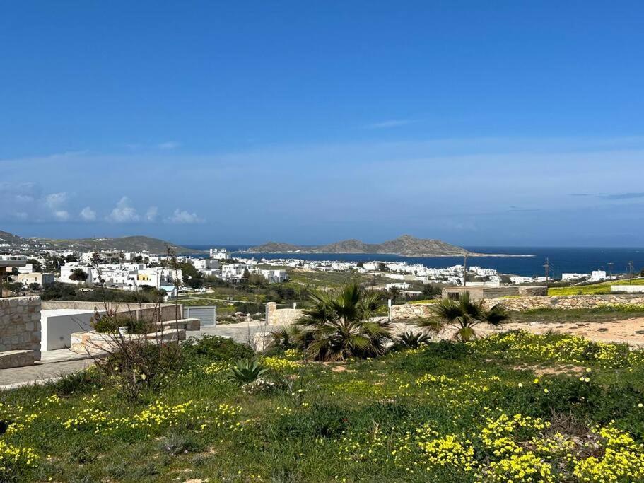 Aretousa Residence In Naoussa, Paros Buitenkant foto